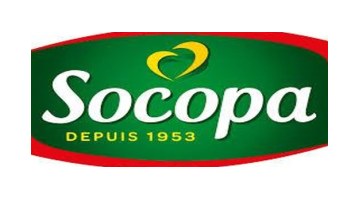 Socopa